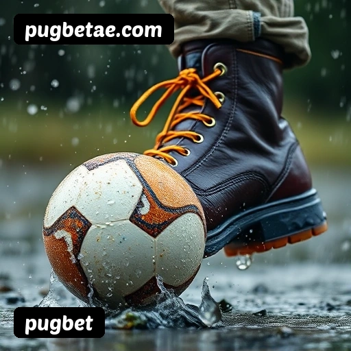 Estatísticas de bônus da pugbet em São Paulo, Rio de Janeiro e Brasília