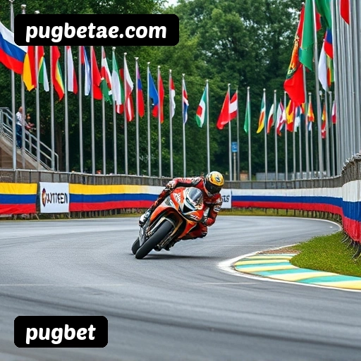 Grandes vencedores pugbet de São Paulo, Rio de Janeiro, Belo Horizonte - Saques PIX confirmados